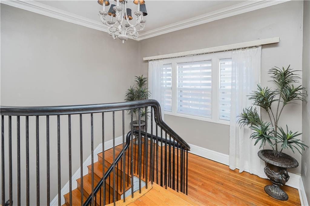 63 Forest Avenue, Staten  Island, New York, 10301 image 23