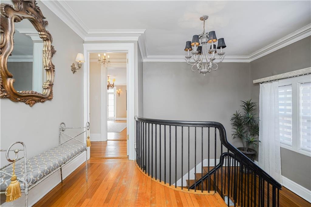 63 Forest Avenue, Staten  Island, New York, 10301 image 24