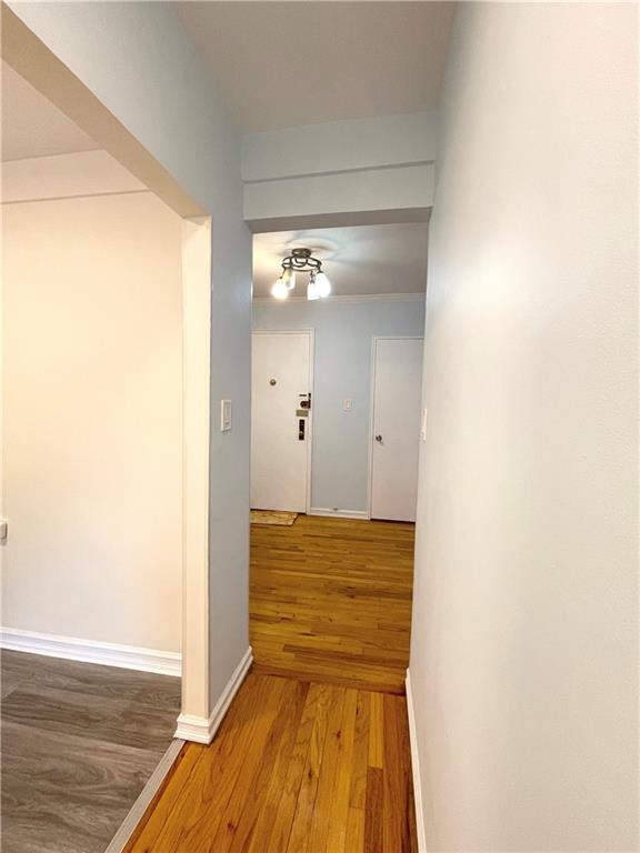 3101 Ocean Parkway 4O, Brooklyn, New York, 11235 image 7