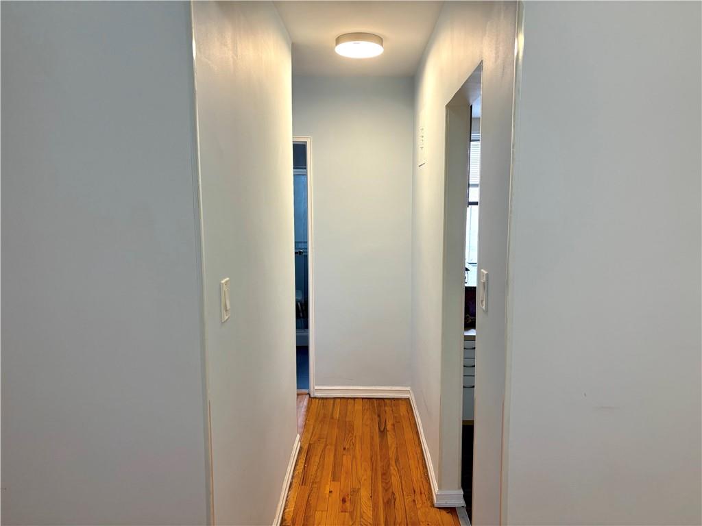 3101 Ocean Parkway 4O, Brooklyn, New York, 11235 image 8