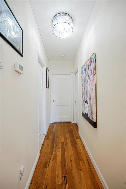 2695 Shell Road 3D, Brooklyn, New York, 11223 image 12