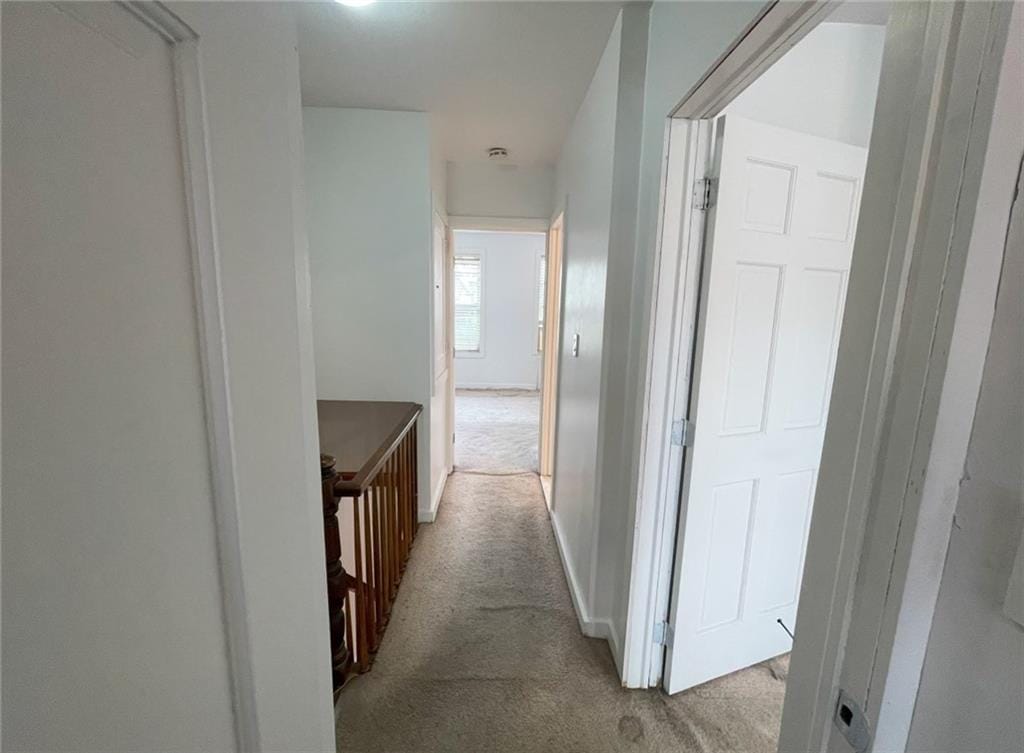 1927 East 28th Street, Brooklyn, New York, 11229 image 10