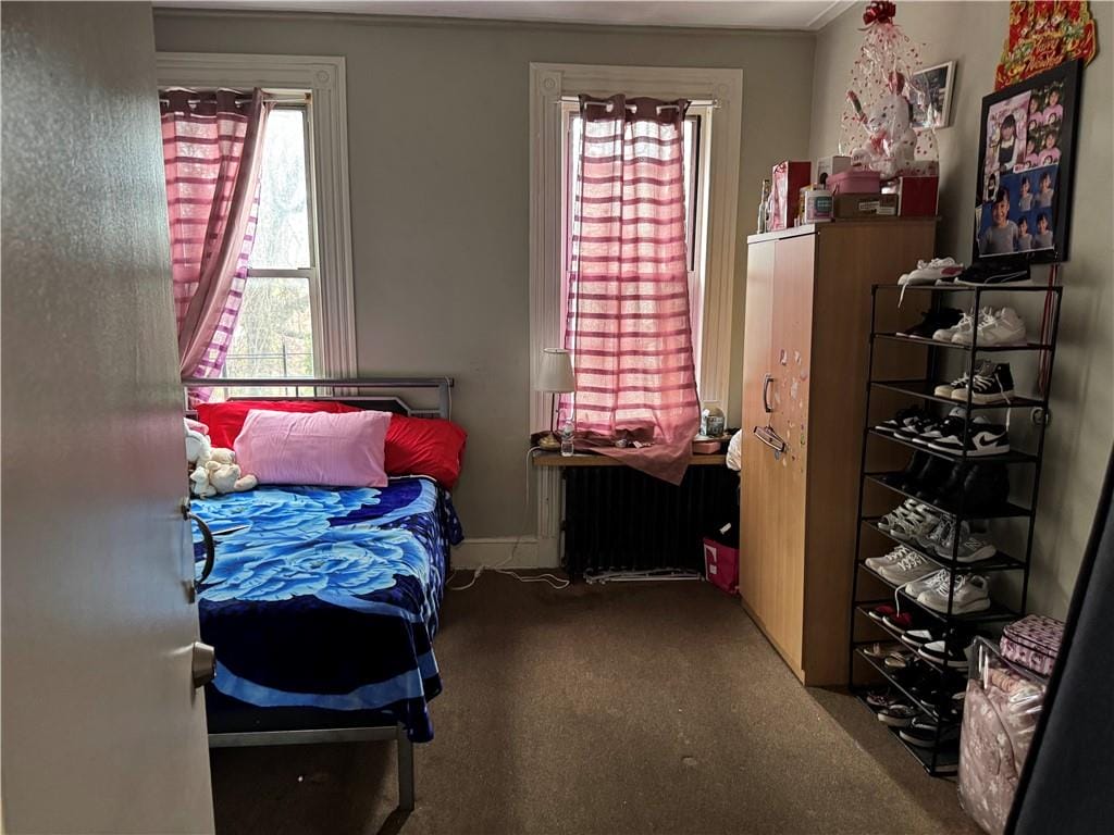 373 Bleecker Street, Brooklyn, New York, 11237 image 14