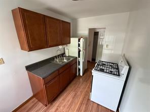 388 Avenue S 1A, Brooklyn, New York, 11223 image 6