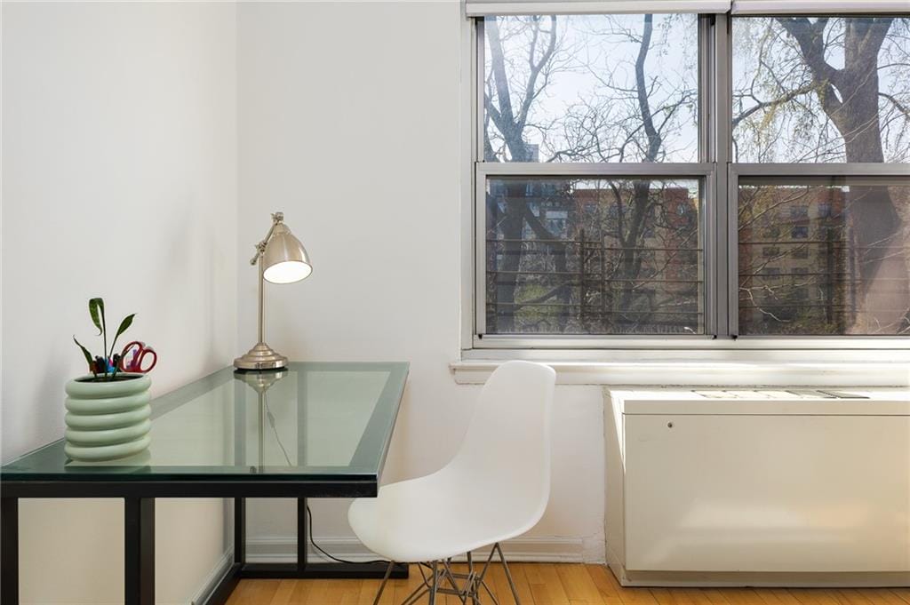 135 Ocean Parkway 4M, Brooklyn, New York, 11218 image 12