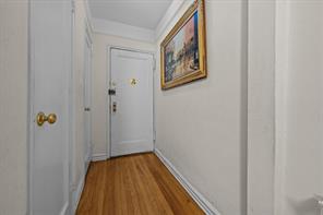 2375 Ocean Avenue 1H, Brooklyn, New York, 11229 image 6