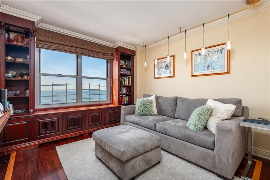 501 Surf Avenue 16K, Brooklyn, New York, 11224 image 13