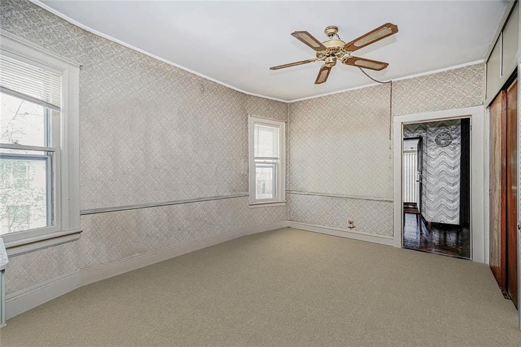 222 Albemarle Road, Brooklyn, New York, 11218 image 13