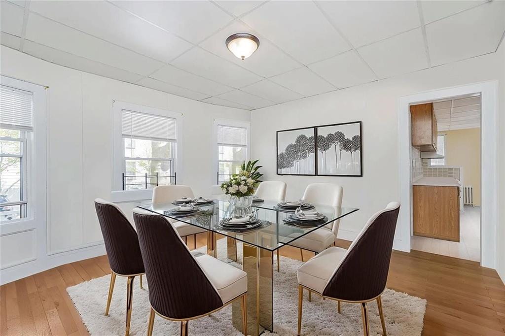 222 Albemarle Road, Brooklyn, New York, 11218 image 24