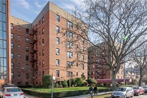 1119 Ocean Parkway 2M, Brooklyn, New York, 11230 image 14