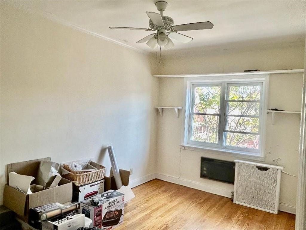 2964 Avenue T, Brooklyn, New York, 11229 image 6