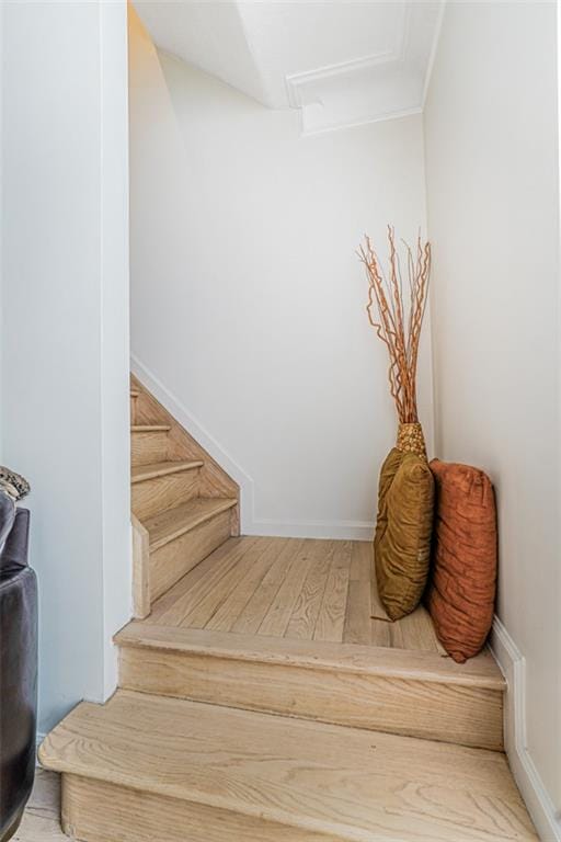 138 Wakeman Place, Brooklyn, New York, 11220 image 17