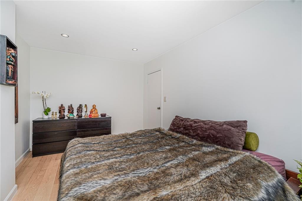138 Wakeman Place, Brooklyn, New York, 11220 image 27