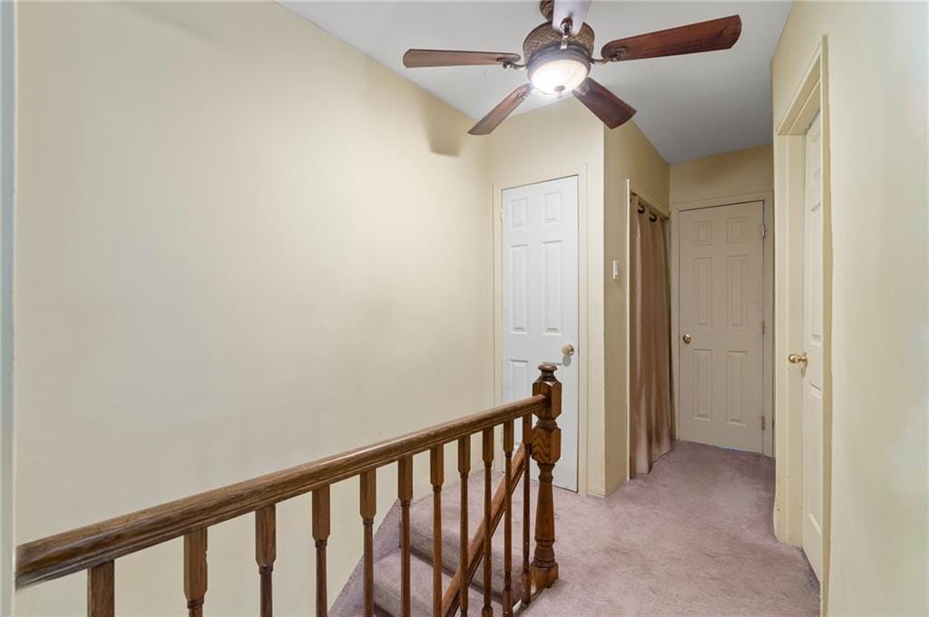 2472 Stuart Street, Brooklyn, New York, 11229 image 15