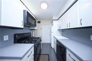 186 Monahan Avenue, Staten  Island, New York, 10314 image 7