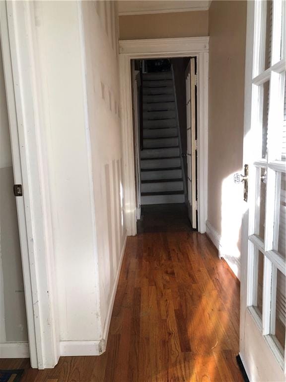 357 Grant Avenue, Brooklyn, New York, 11208 image 12
