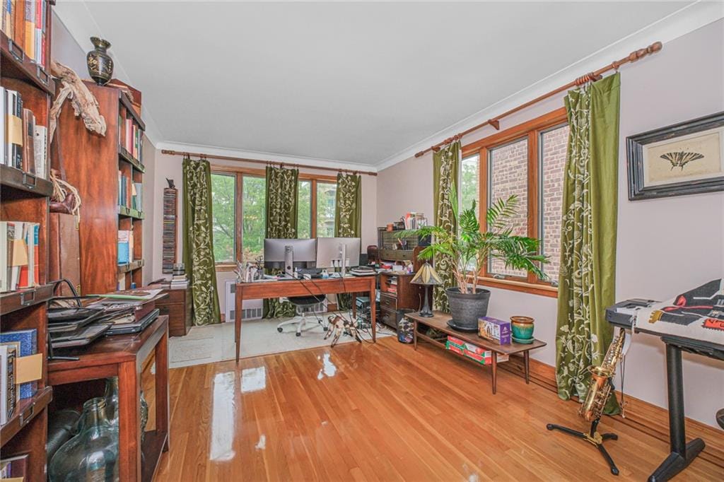 124 95th Street, Brooklyn, New York, 11209 image 24