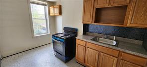 459 Miller Avenue, Brooklyn, New York, 11207 image 10