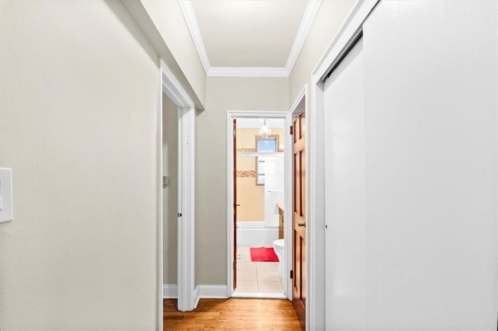 1250 Ocean Parkway 6R, Brooklyn, New York, 11230 image 13
