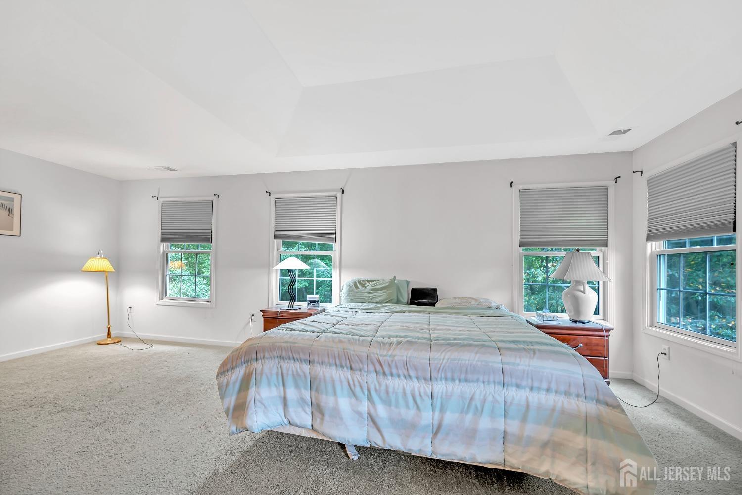 37 Walden Court, Old Bridge, NJ, 08857 image 8
