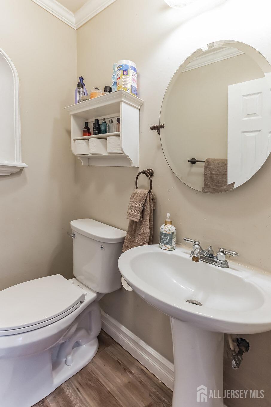 789 Holly Berry Lane, Brick, NJ, 08724 image 19