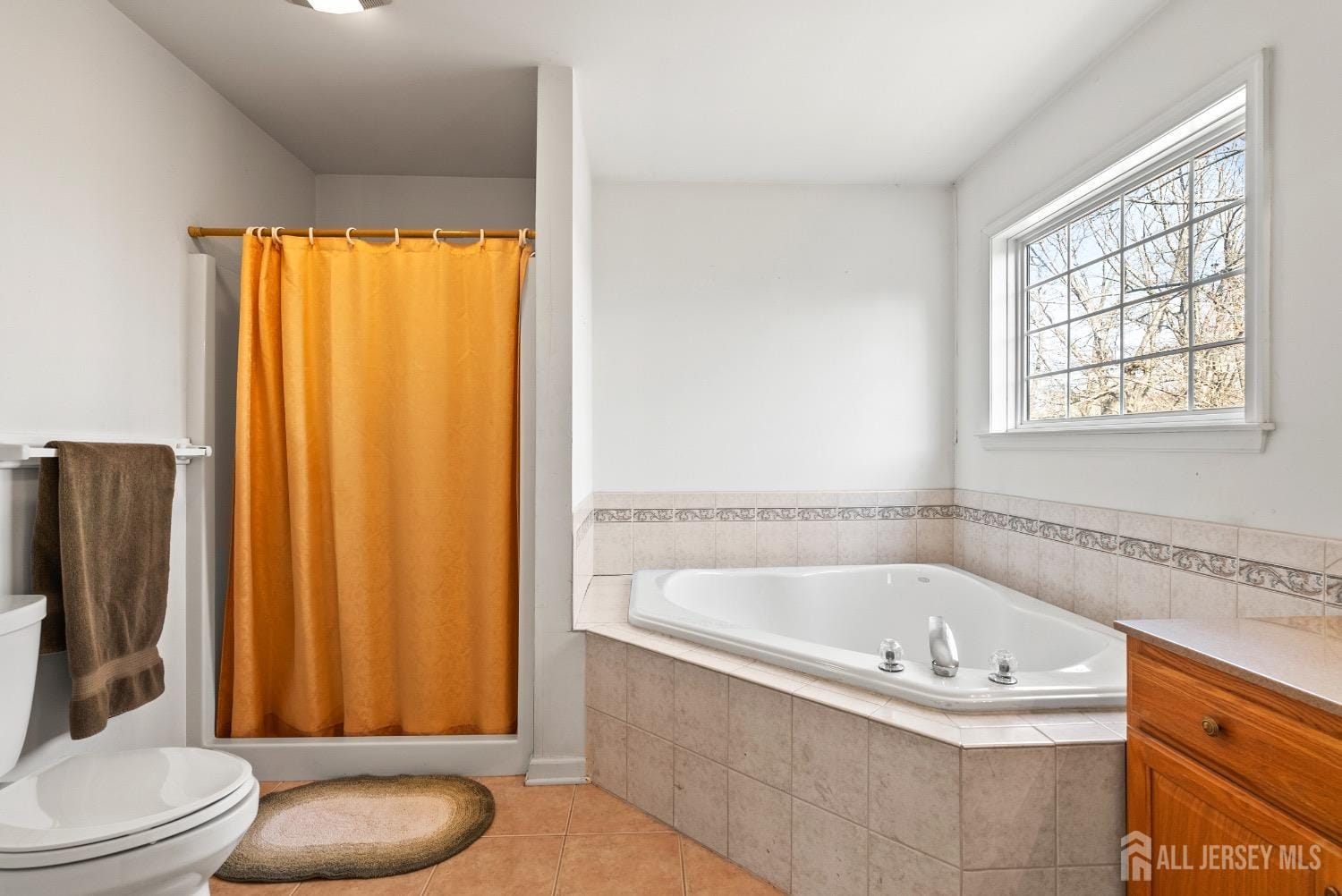 379 Sapphire Drive, Jackson, NJ, 08527 image 29