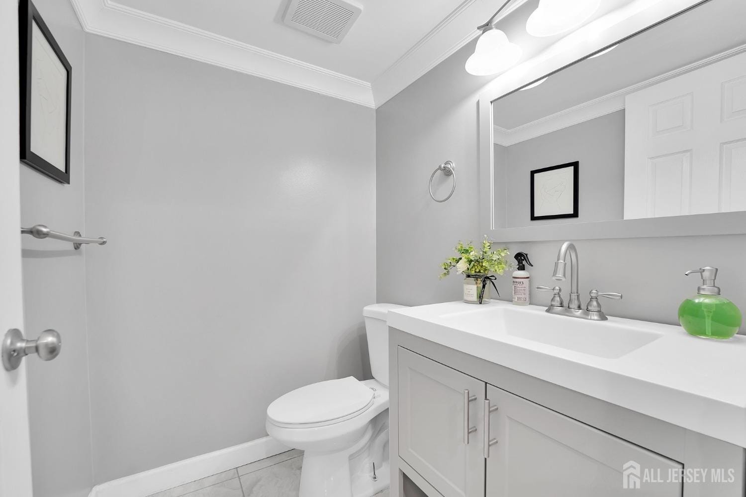3 portsmouth Drive, Old Bridge, NJ, 08857 image 18