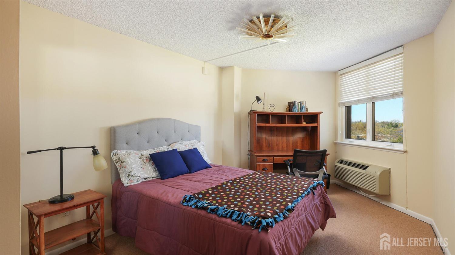 30 So. Adelaide Avenue 7H, Highland Park, NJ, 08904 image 24