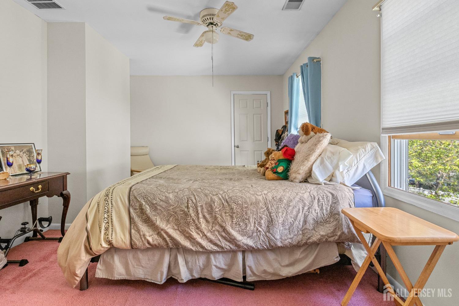 230 Felton Avenue, Highland Park, NJ, 08904 image 19