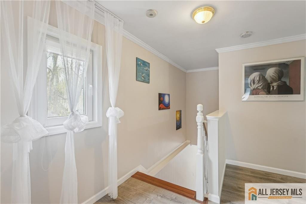 52 State Route 33 Street, Freehold Twp, NJ, 07728 image 16