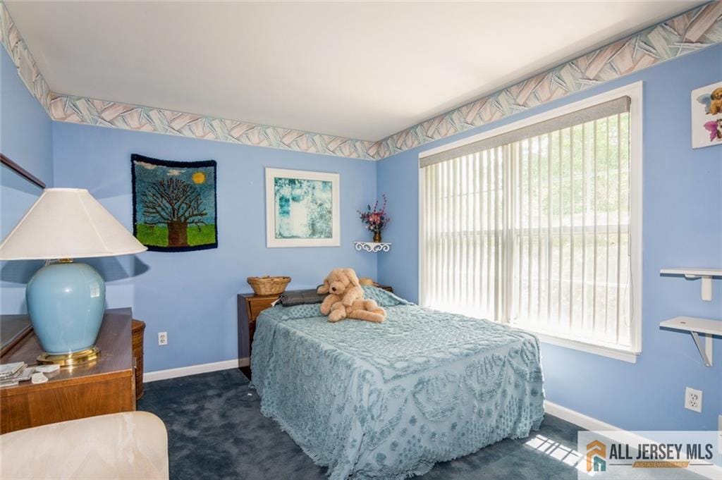 17 Alexis Lane, Edison, NJ, 08820 image 13