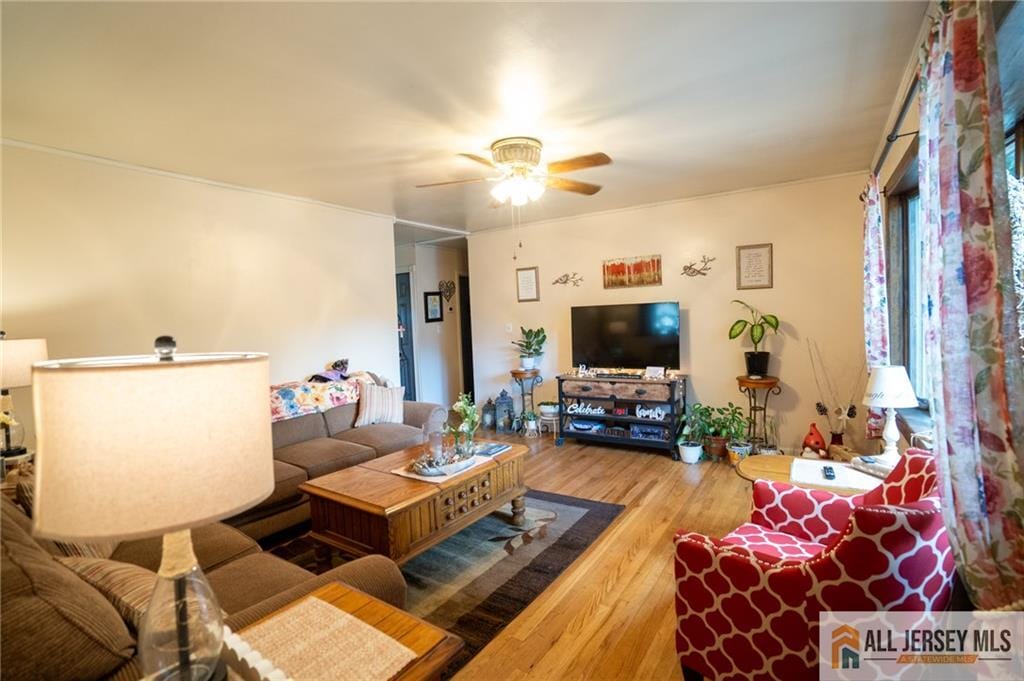 7 Cornell Road, Old Bridge, NJ, 08859 image 14