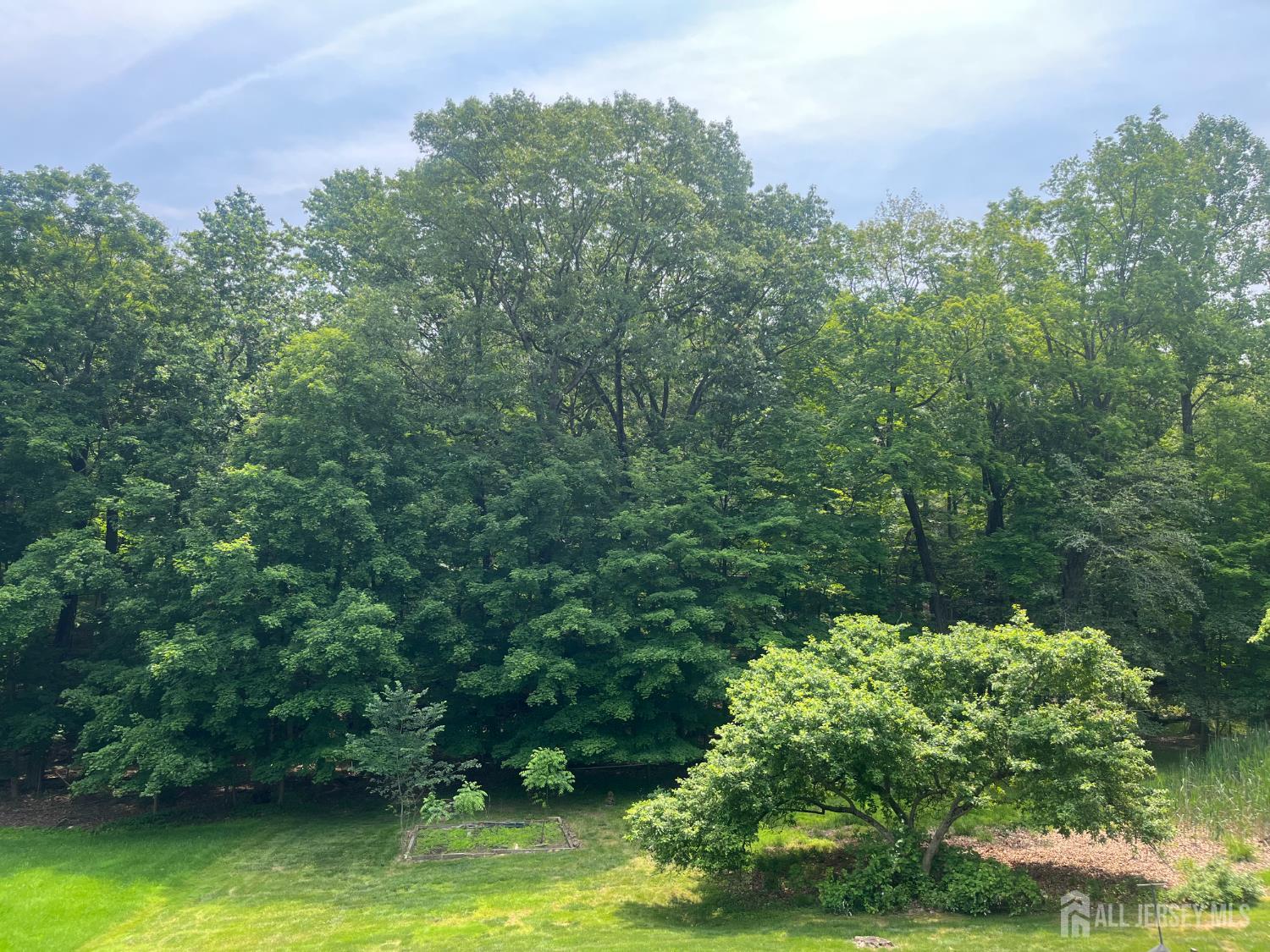 1240 Crim Road, Bridgewater, NJ, 08807 image 13