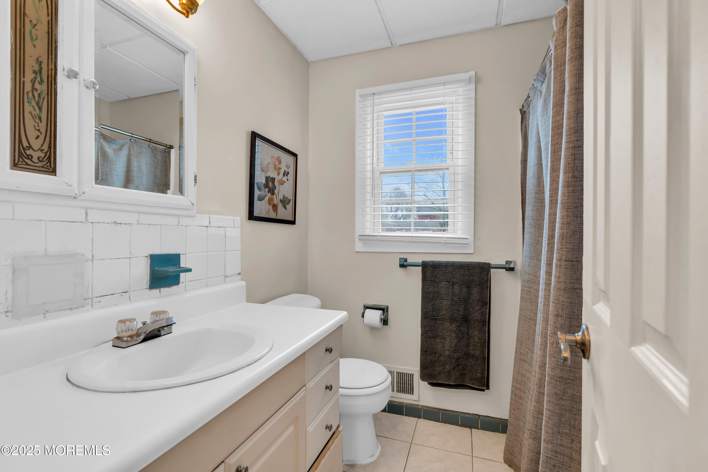 1215 Mintwood Lane, Manasquan, NJ, 08736 image 29