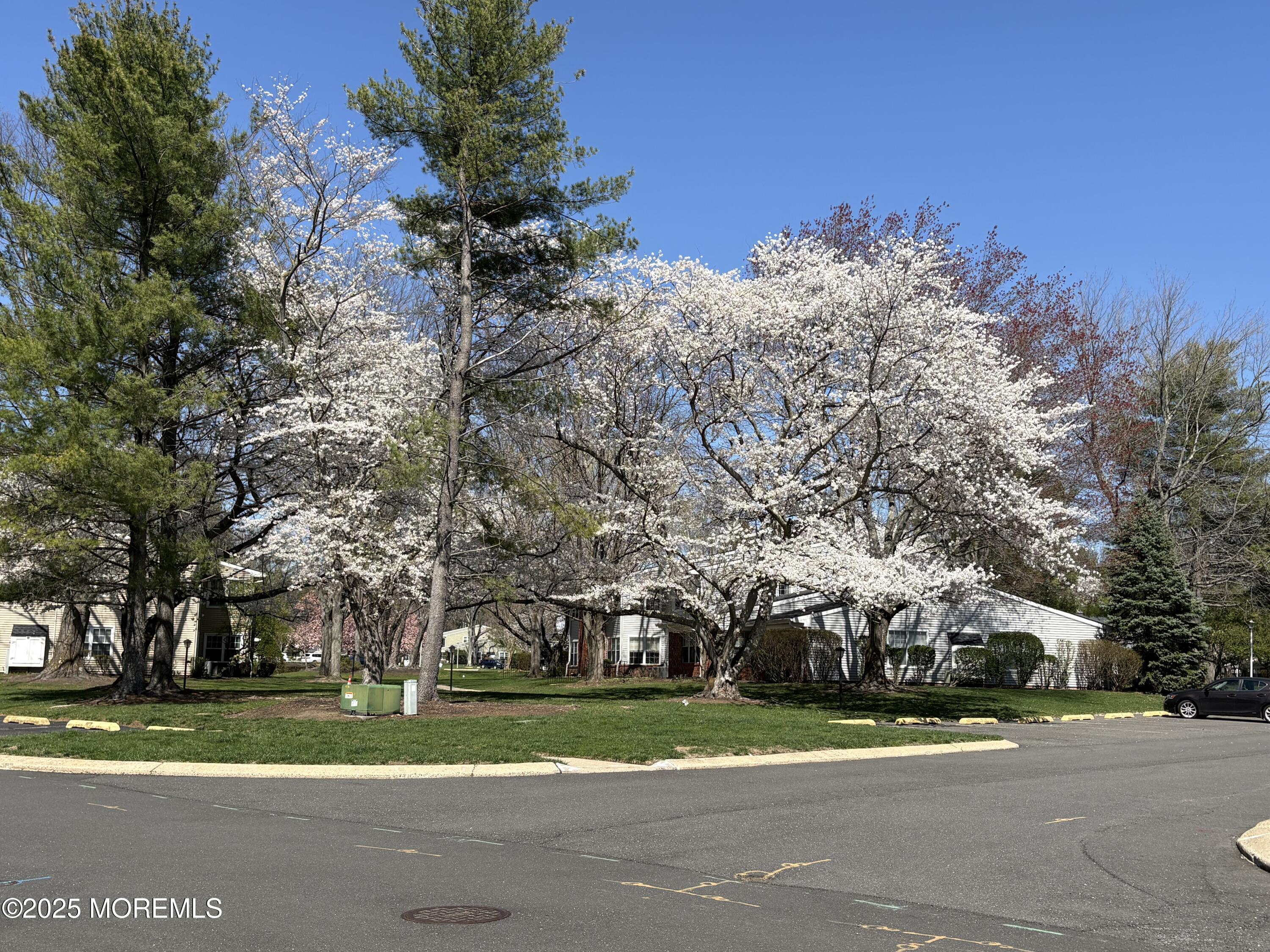 74 Boxwood Terrace 12, Red Bank, NJ, 07701 image 33