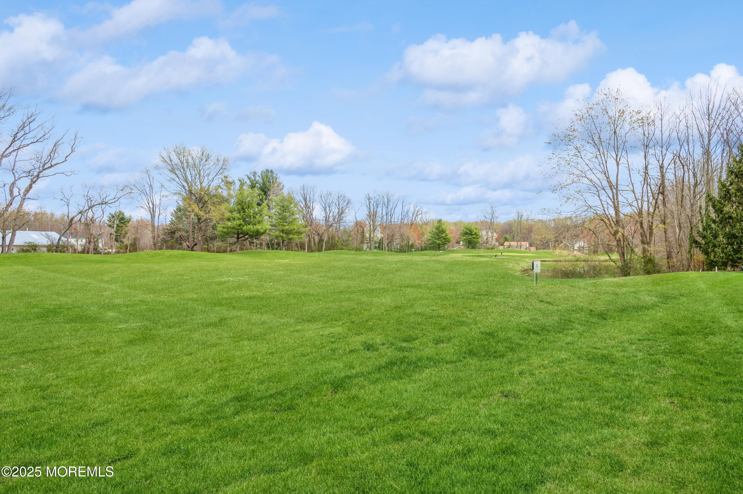 169 Shinnecock Drive, Manalapan, NJ, 07726 image 21