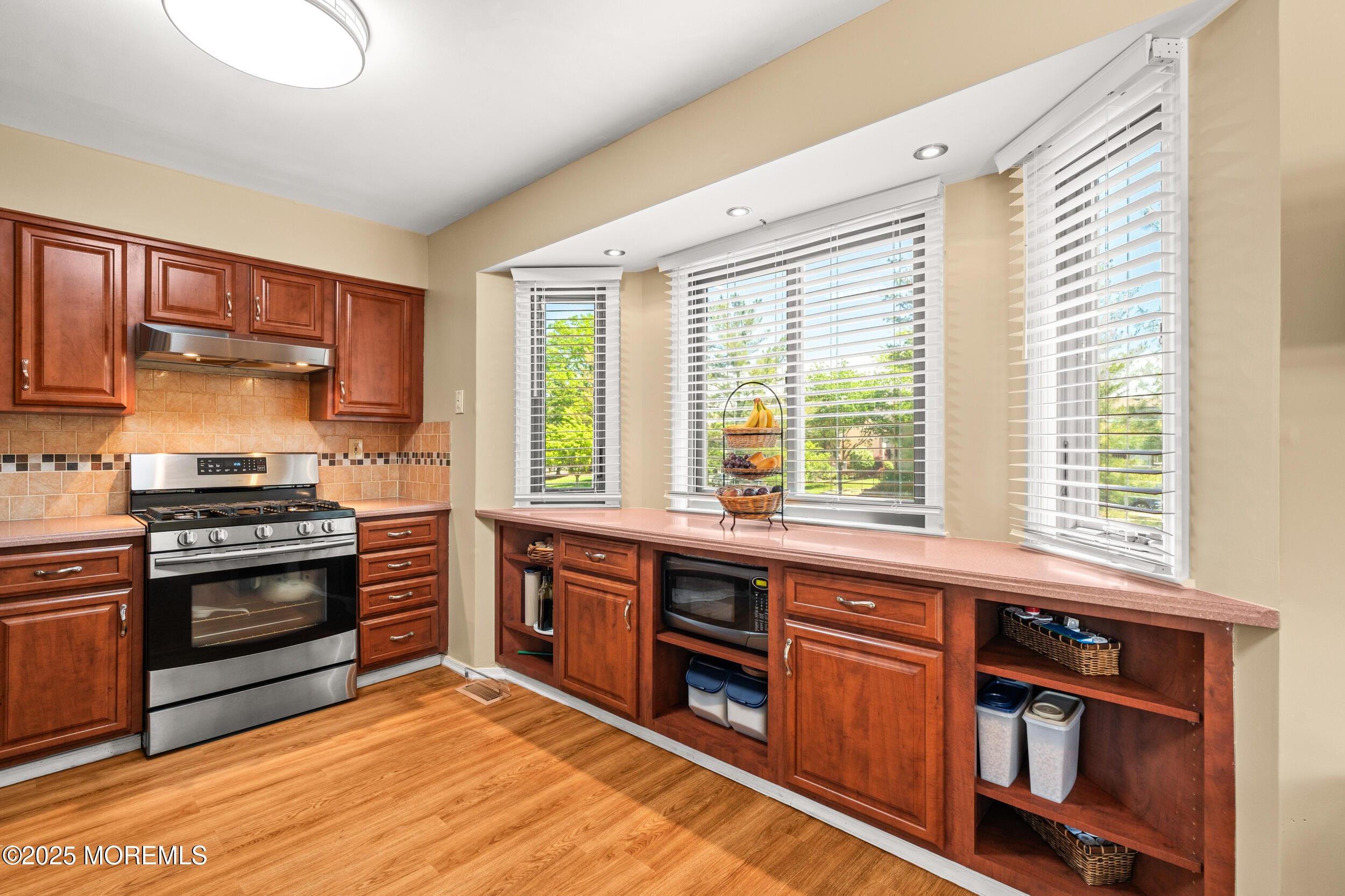 177 Goldmine Lane, Old Bridge, NJ, 08857 image 9