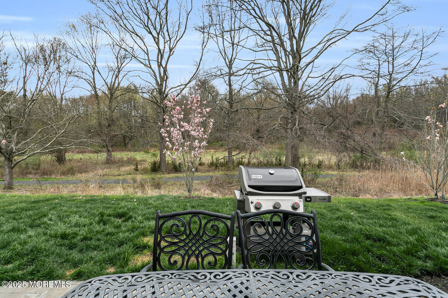 91 Lawley Drive, Lincroft, NJ, 07738 image 31