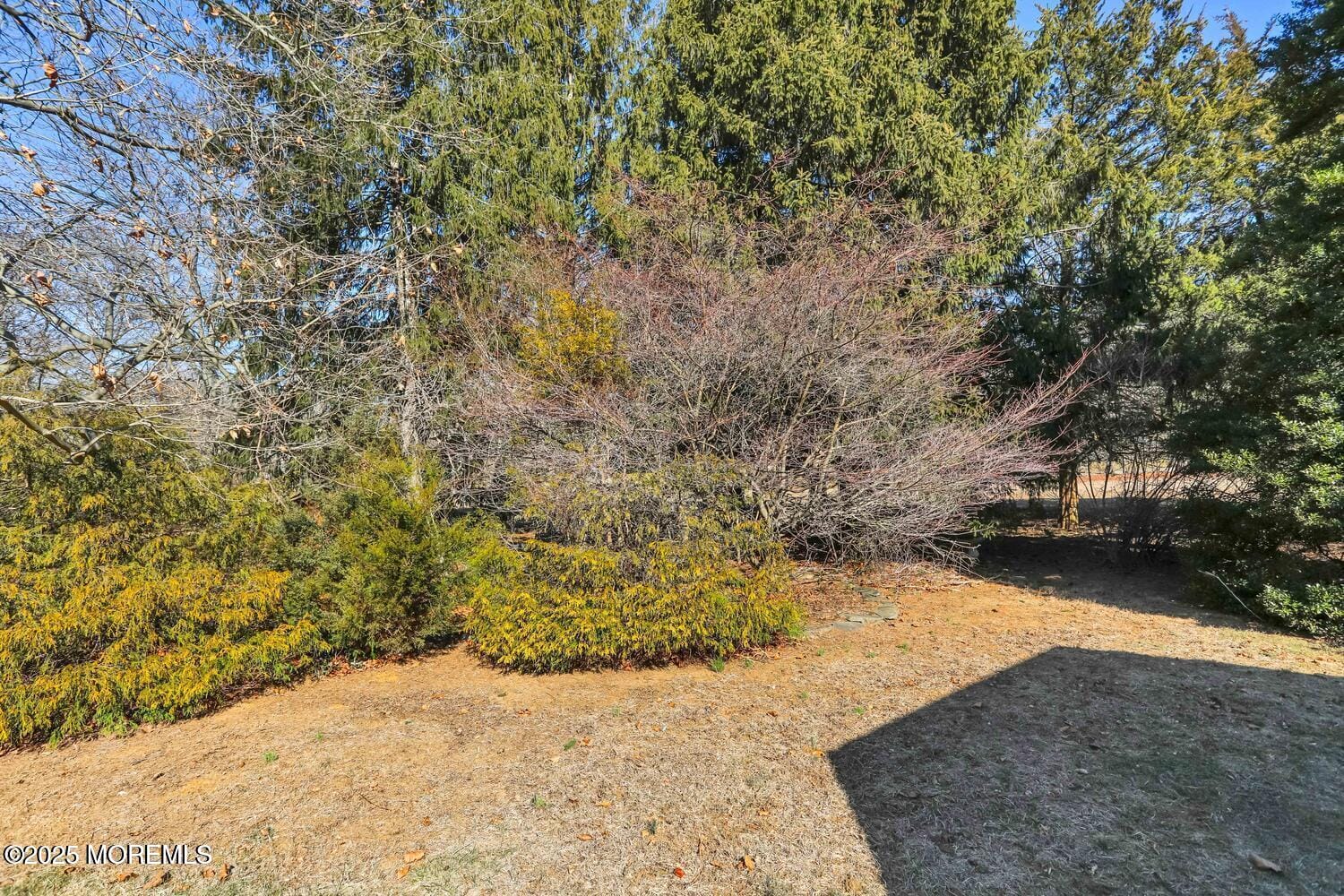 283 Cooper Road, Red Bank, NJ, 07701 image 27