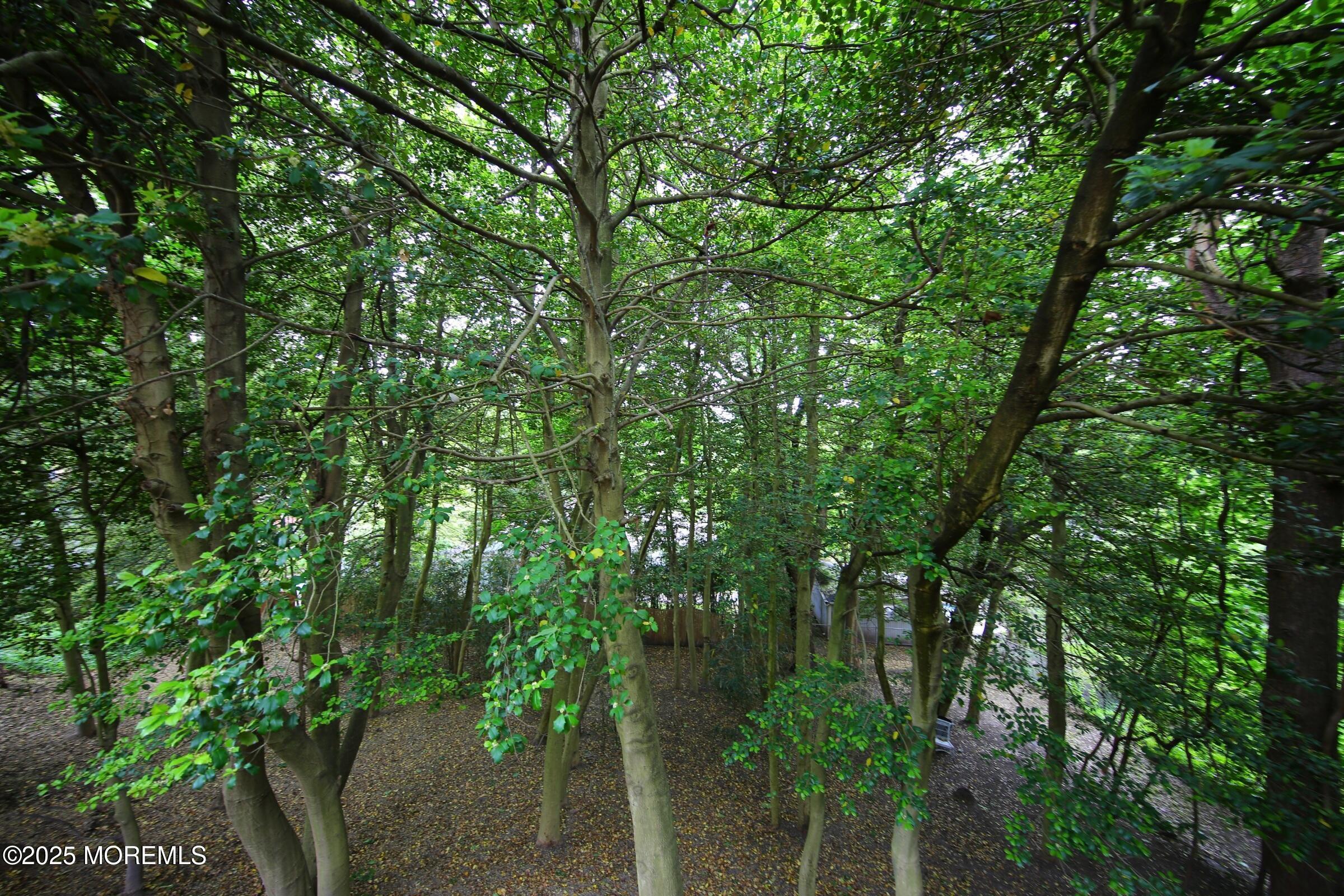 101 E Highland Avenue, Atlantic Highlands, NJ, 07716 image 59