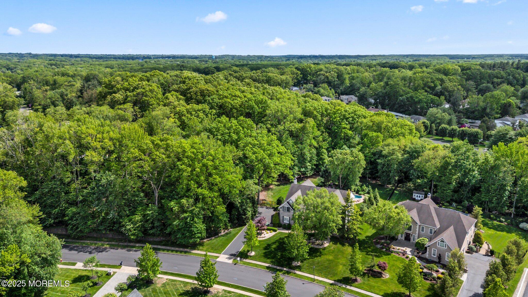 11 Elkridge Way, Manalapan, NJ, 07726 image 76