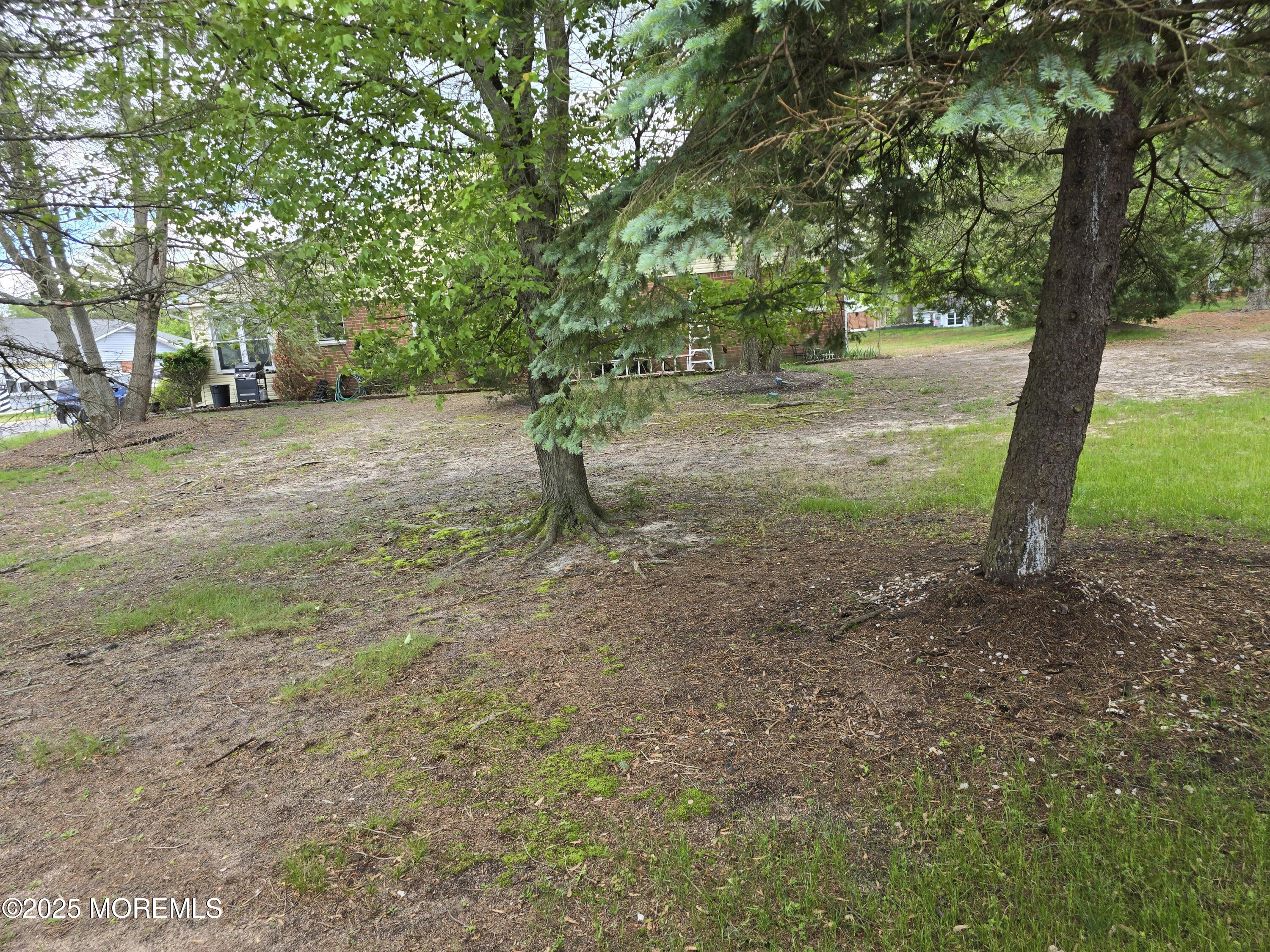 6 Conestoga Drive A, Whiting, NJ, 08759 image 14