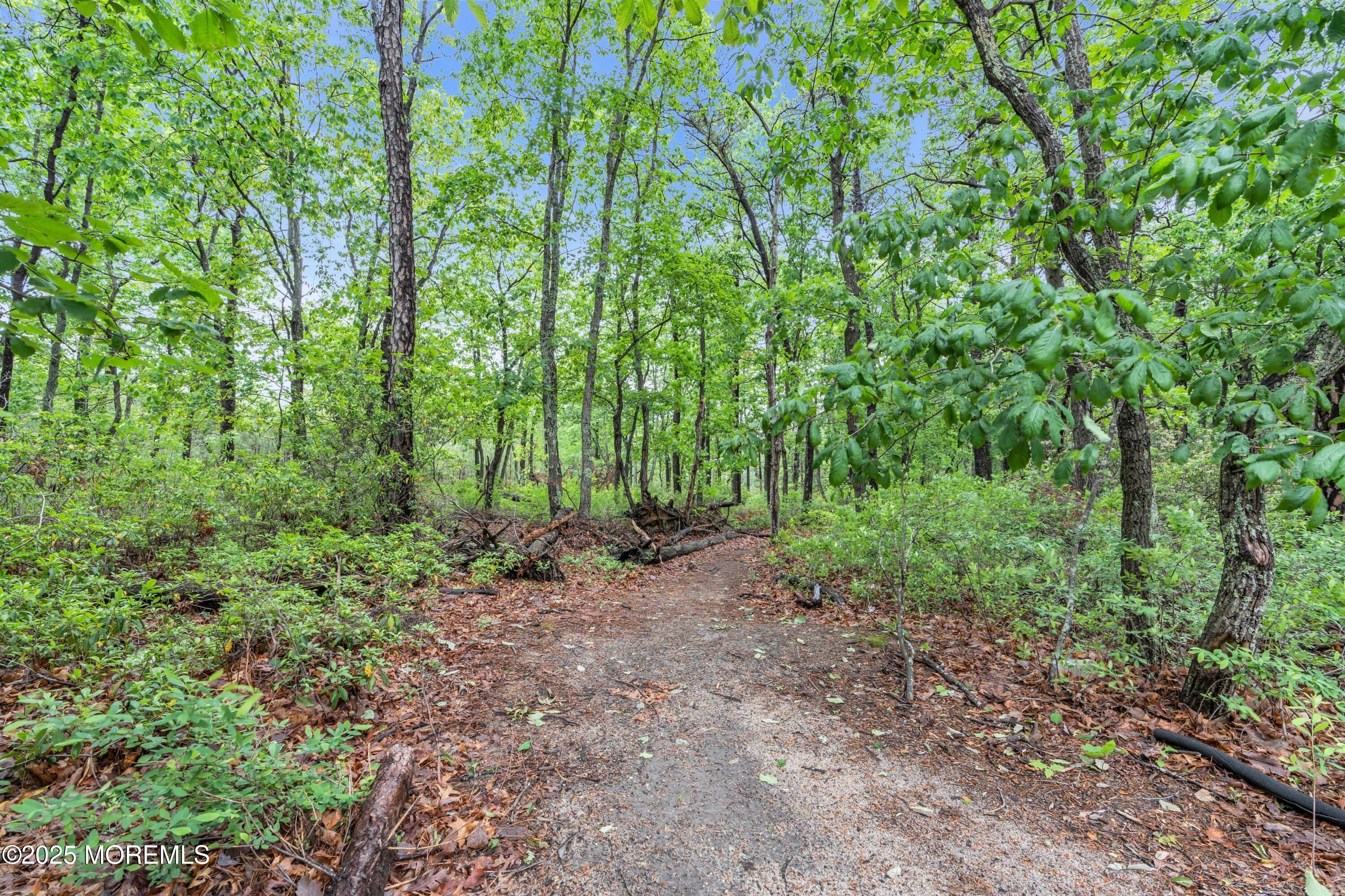62 Stamford Hill Road, Lakewood, NJ, 08701 image 41