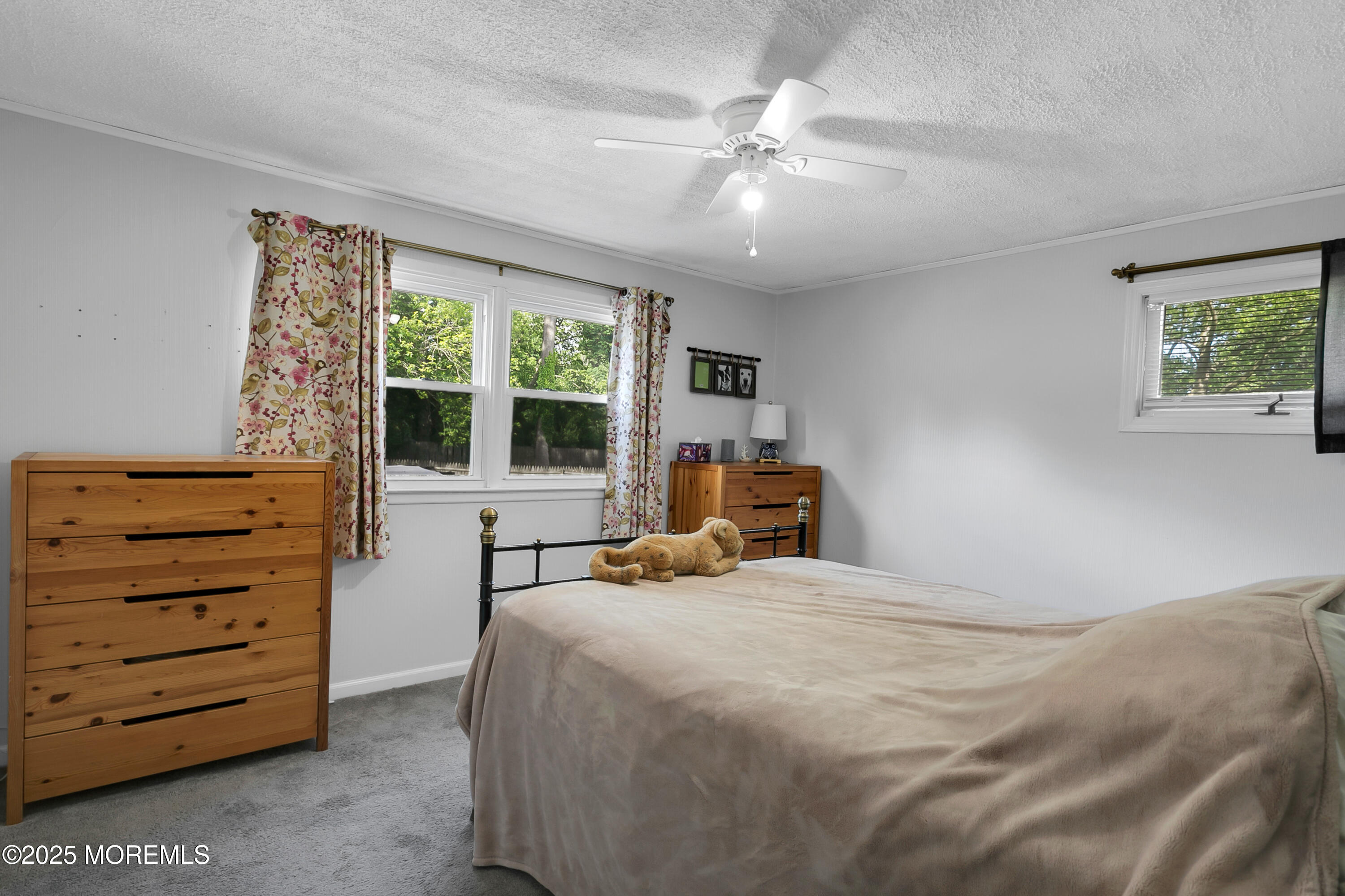 11 Woodside Drive, Red Bank, NJ, 07701 image 15