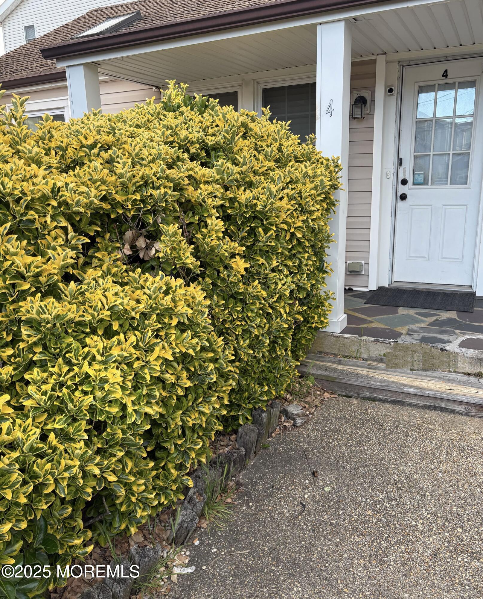 124 Lincoln Avenue 4, Seaside Heights, NJ, 08751 image 18