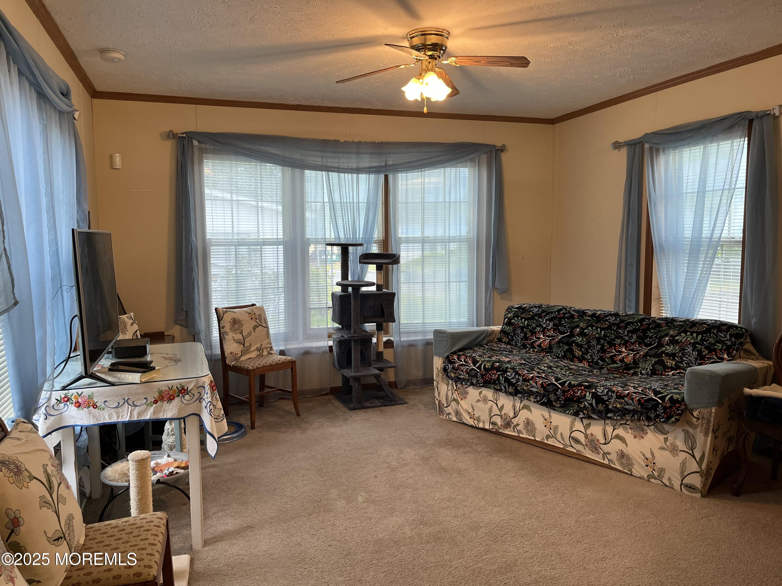 6 Raccoon Avenue, Whiting, NJ, 08759