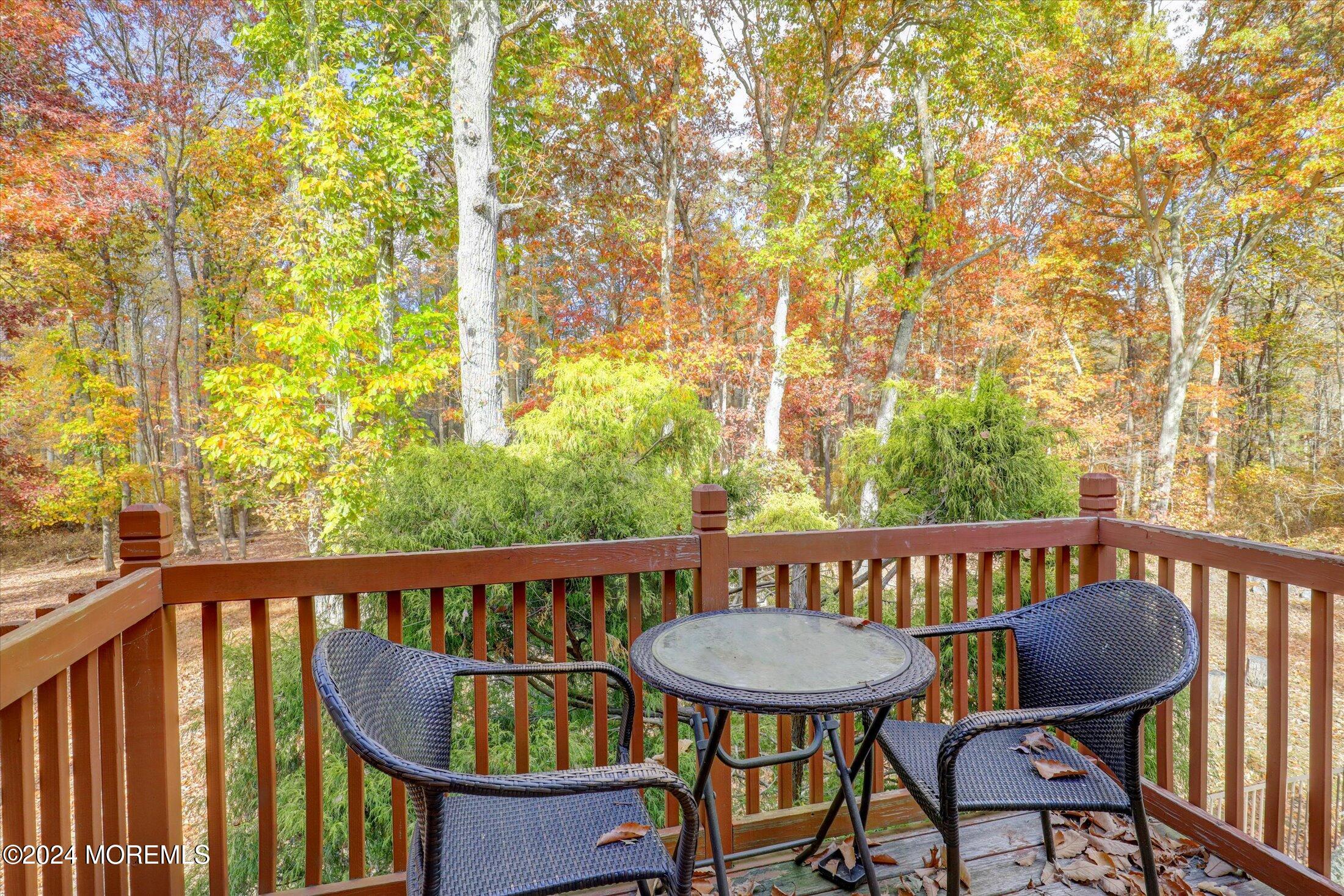 9 Rutherford Court, Jackson, NJ, 08527 image 28