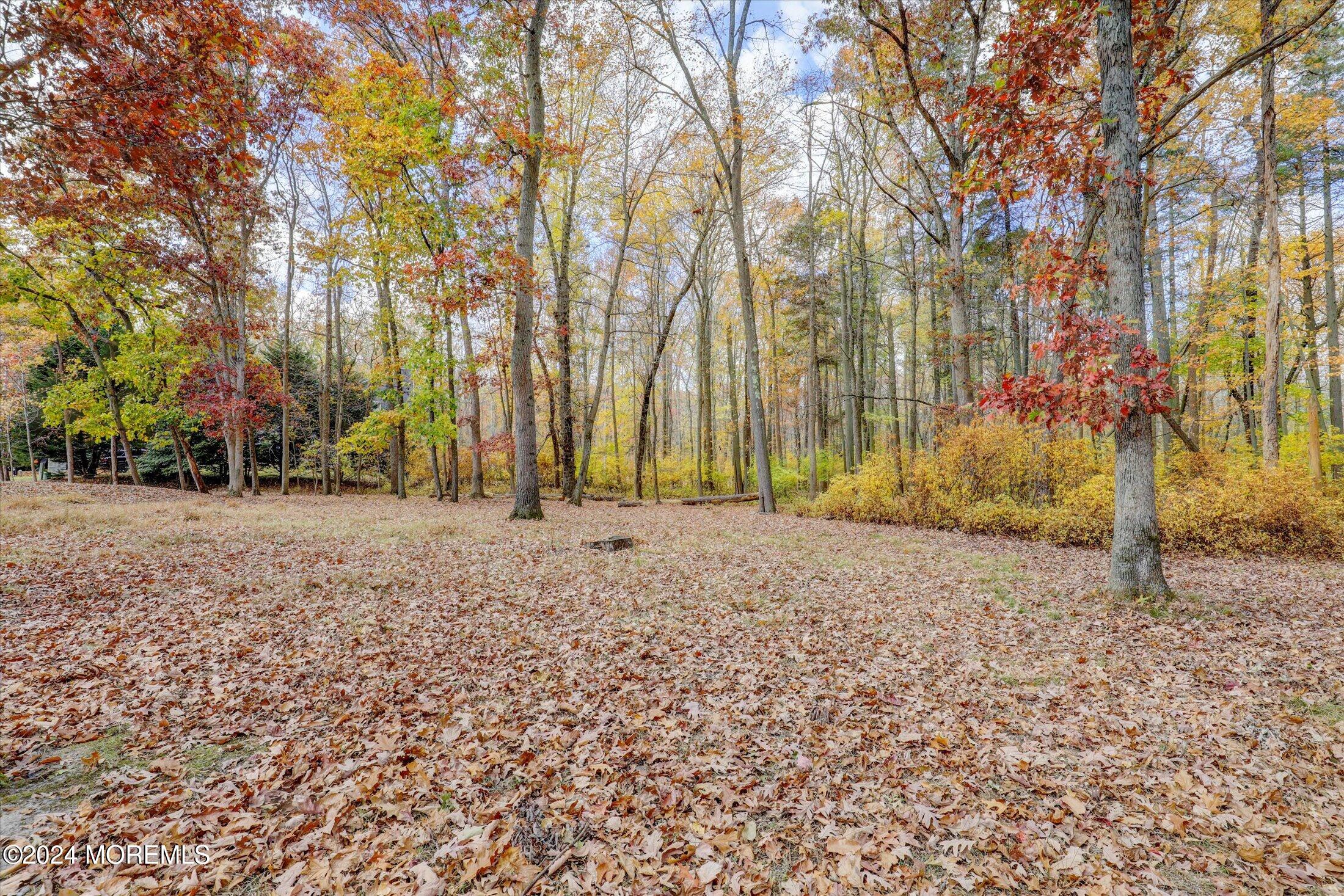 9 Rutherford Court, Jackson, NJ, 08527 image 45