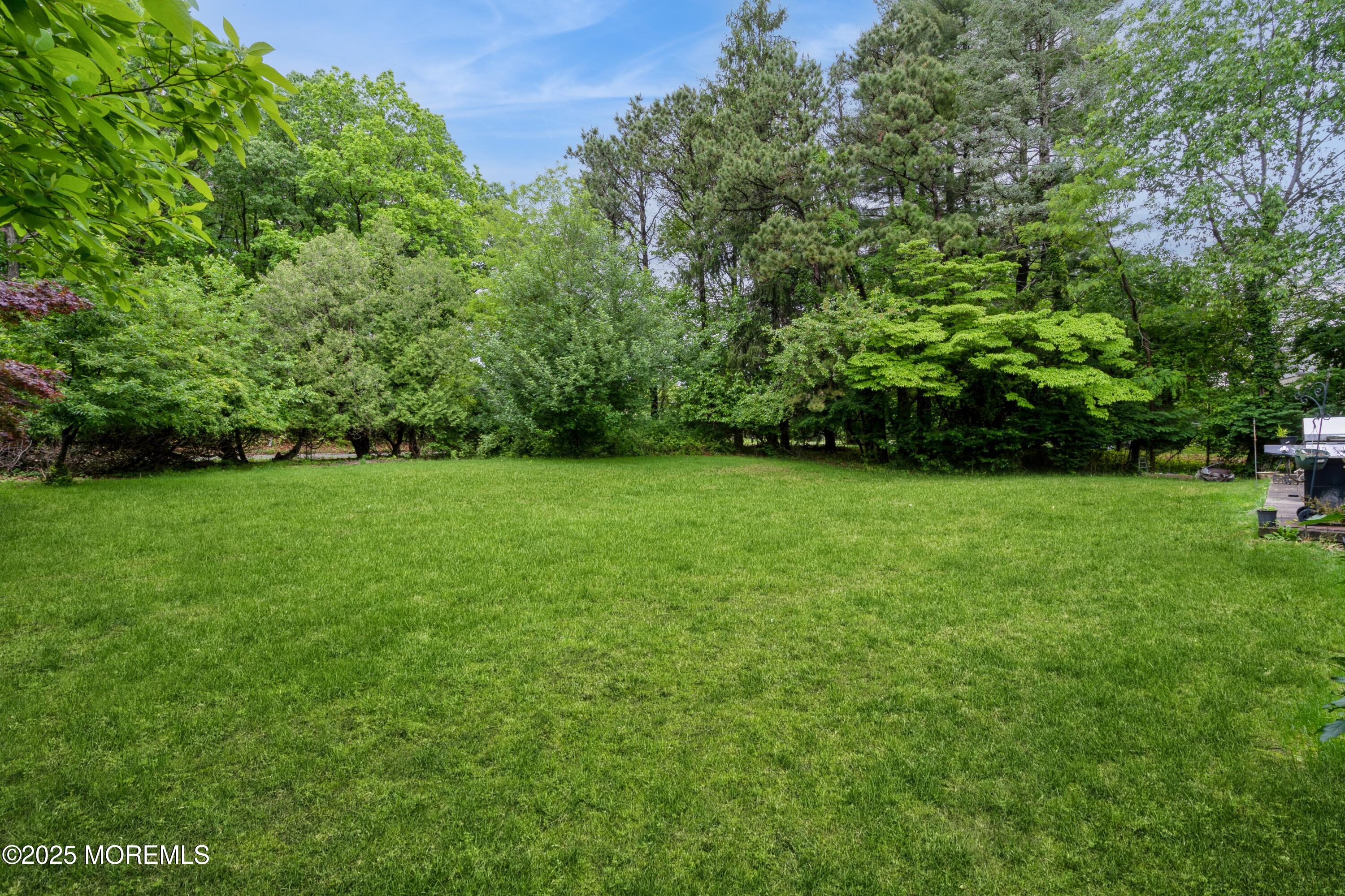 36 Merion Drive, Manalapan, NJ, 07726 image 18