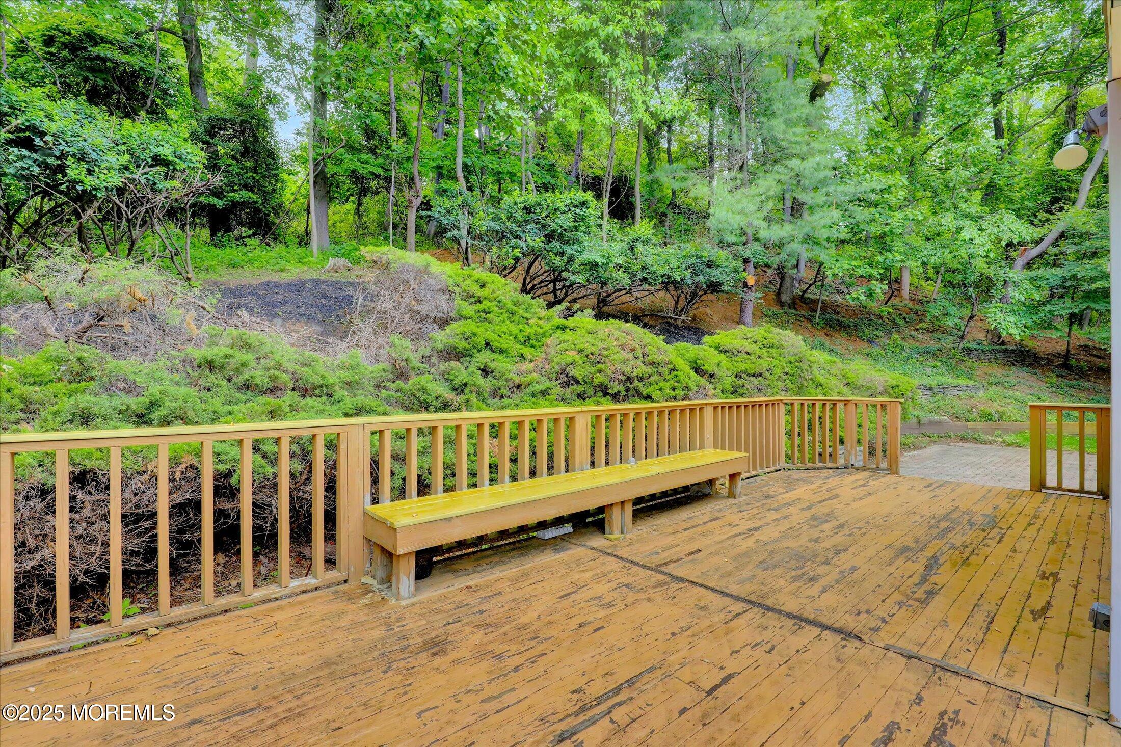 9 Berkshire Court, Holmdel, NJ, 07733 image 38